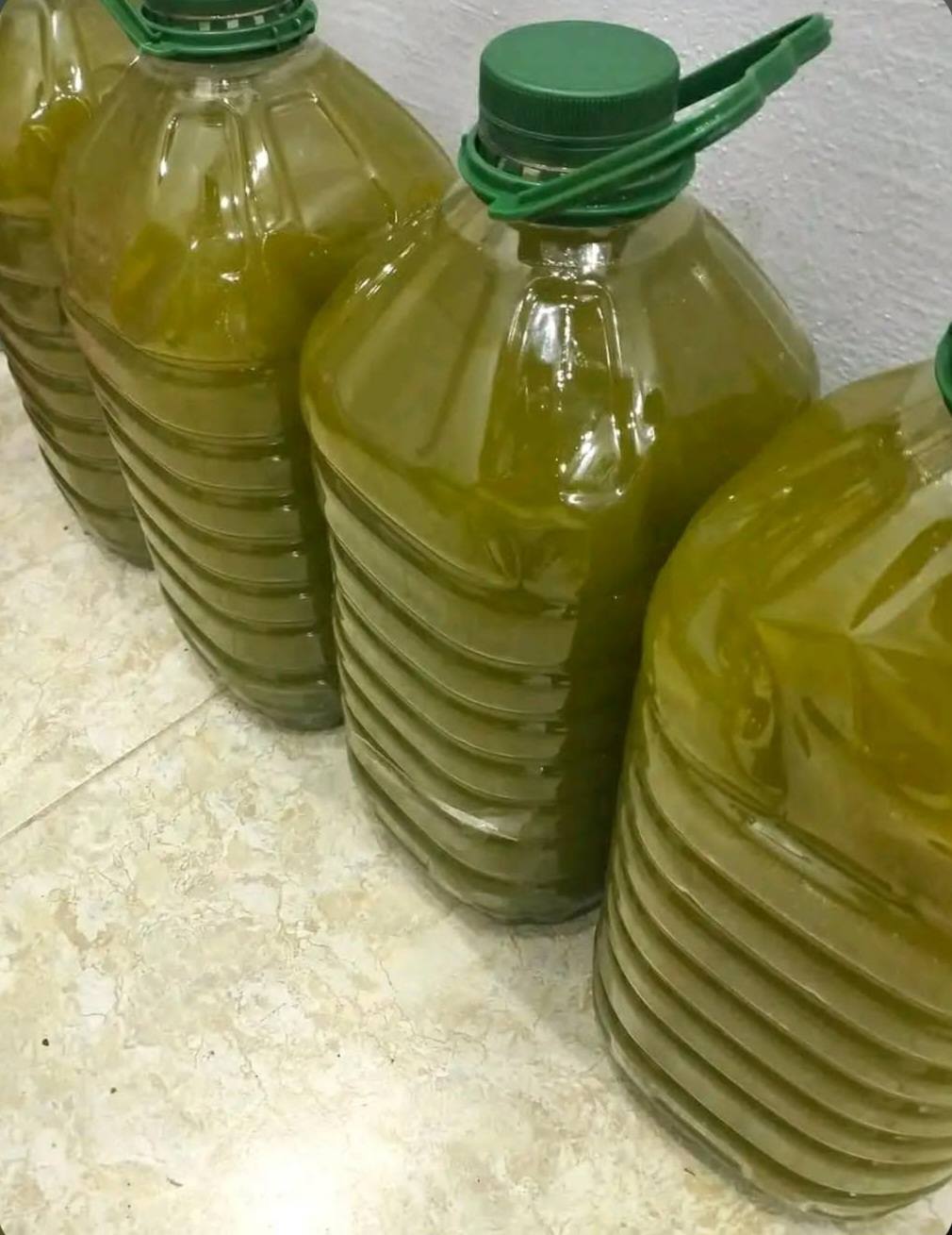 Olive Oil /زيت الزيتون