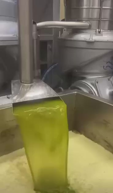 Olive Oil /زيت الزيتون